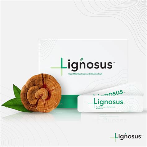 [1] Description [ edit] The fruit bodies of <b>Lignosus</b> fungi are annual. . Where to buy lignosus